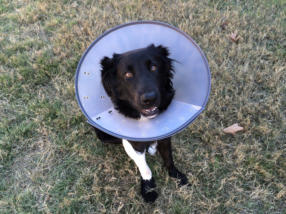 Oh, the shame :o(